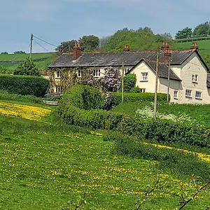 Beautiful Devon Apartment